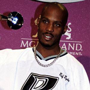 DMX image 4