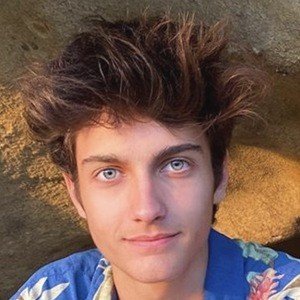 Dom Brack, 22 (TikTok-ster)