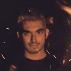 Domenic Maisto