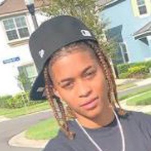 Domo Glo Twins image 3