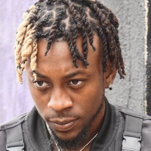 DQ4EQuis, 33 (Star d'Instagram)