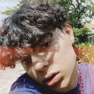 Drippiejay, 24 (TikTok明星)