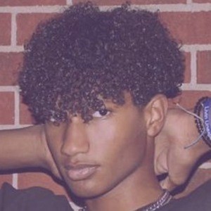 Dvojosh image 2
