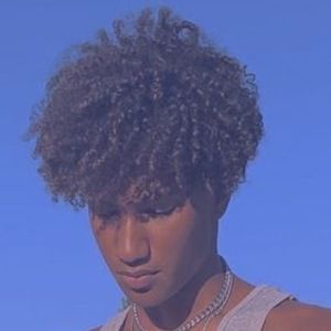 Dvojosh image 5