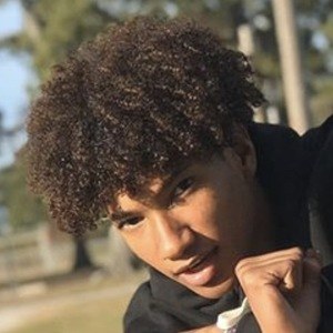 Dvojosh image 7