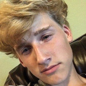 Dylan Hamilton image 5