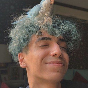 Dyler, 24 (YouTuber)