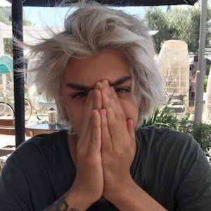 DYSN image 7