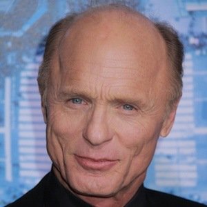 Ed Harris, 74 (Filmschauspieler)