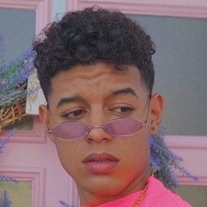 Elver Sánchez image 4