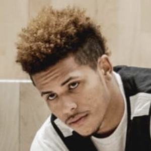 Elvin Rodriguez