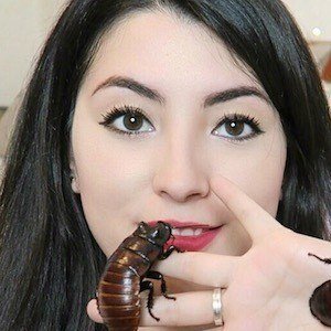 Emma Lock, 35 (YouTube明星)