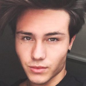 Enzo Carini image 7