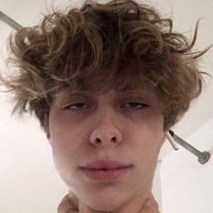 Enzo Piiazza image 6