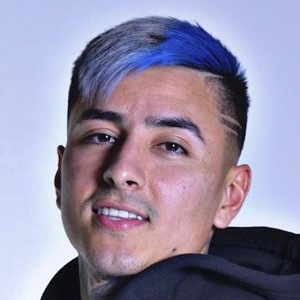 Erick Pulgar image 8