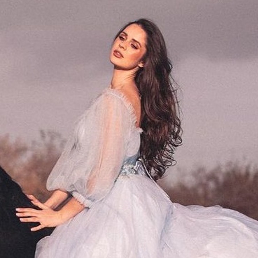 Erin Williams image 4