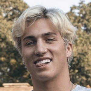 Ethen Lombardino image 5