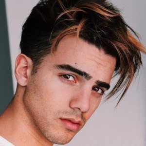 Federico Vigevani, 29 (Звезда Youtube)