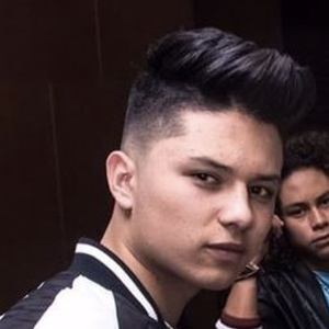 Ferlem David image 5