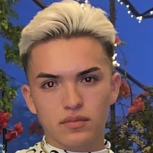 fernfloress, 27 (Instagram Star)