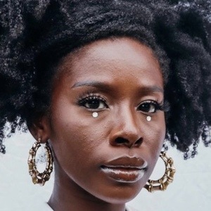 Fola Amudipe image 5