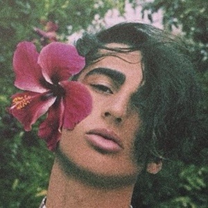 Fonzie Gomez image 6