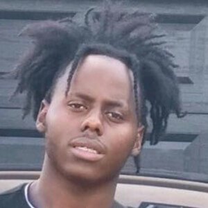 Freek Da Gemini image 6