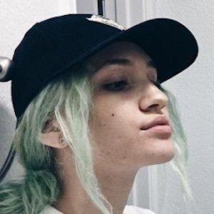 Gabbi Bertolozzi image 7