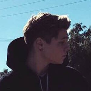 Gabriel Gomer image 3