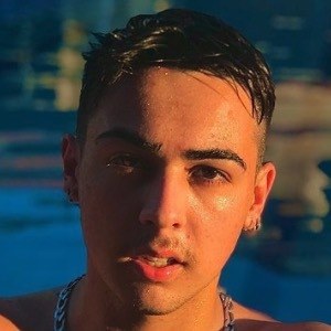 Gabriel Zanquetta image 8