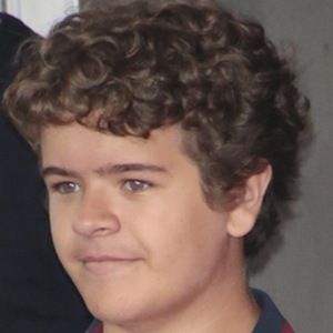 Gaten Matarazzo, 23 (TV Actor)