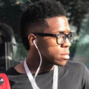 Gattor Martin image 3