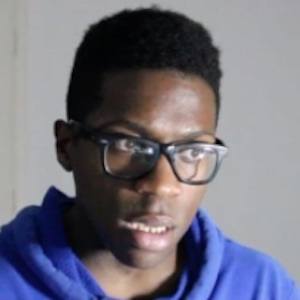 Gattor Martin image 6