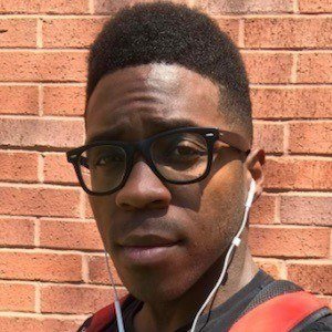 Gattor Martin image 8