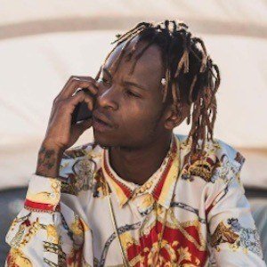 Gemini Major image 5