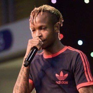 Gemini Major image 7