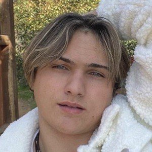 Geno Bonfiglio, 24 (TikTok明星)