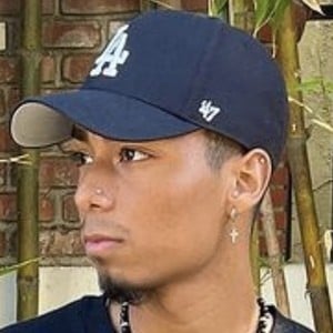 Gero image 4