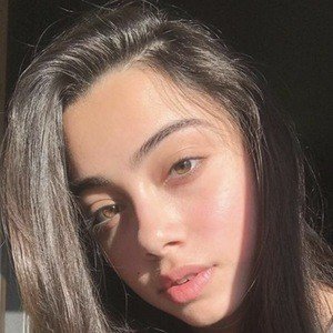 Ghida Ismail image 8