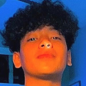 Gianmarco Pulliti image 3