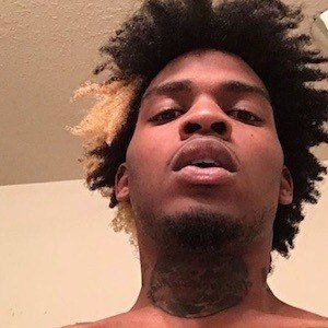 Go Yayo image 4