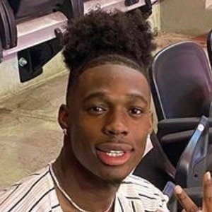 Golden Eke III, 25 (TikTok Star)