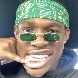 Golden Eke III image 6