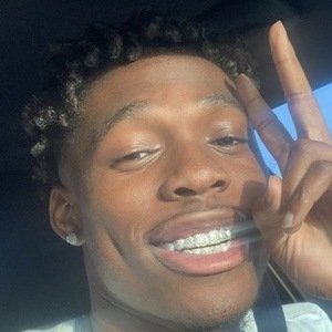 Golden Eke III image 7