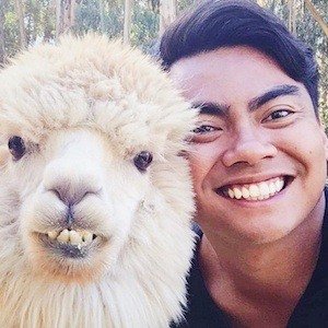 Guava Juice, 34 (YouTube Star)