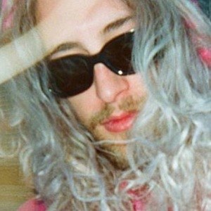 Gyyps image 3