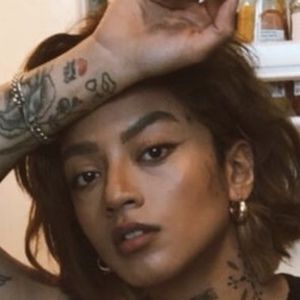 handpushed, 33 (TikTok明星)