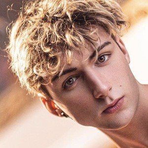 Har_fie, 26 (TikTok Star)