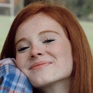 Harley Haisley image 8