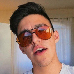 Haro Gilberto image 4